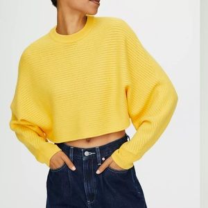 🍁🍂Wilfred Lolan sweater